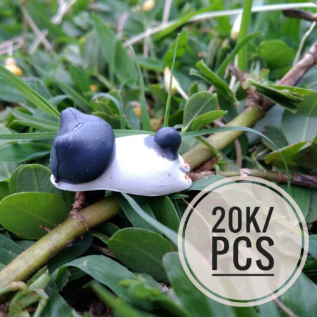 Pluggy cat / pluggy kucing