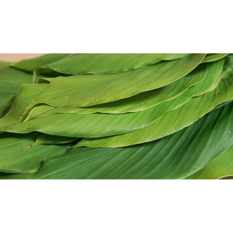 

DAUN KUNYIT KUNING 50 GRAM