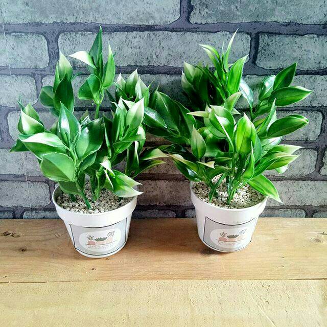 Daun imitasi plastik  bunga  plastik  artificial palsu 