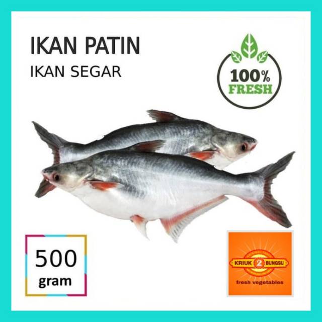 

Ikan patin