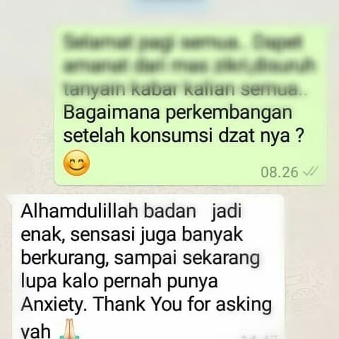 Herbal Dzat Obat Anxiety Gerd Hipertensi Kolesterol Indonesia