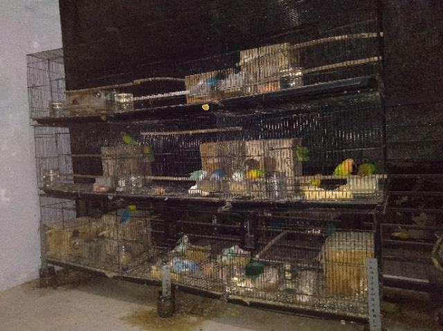 Terlaris Serut Genes Jelita Tunik Navbor Yelbor Whitebor Creambor Tunik Batik Modern