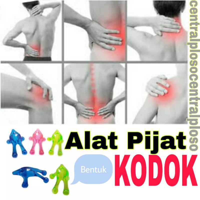 ALAT PIJAT KODOK