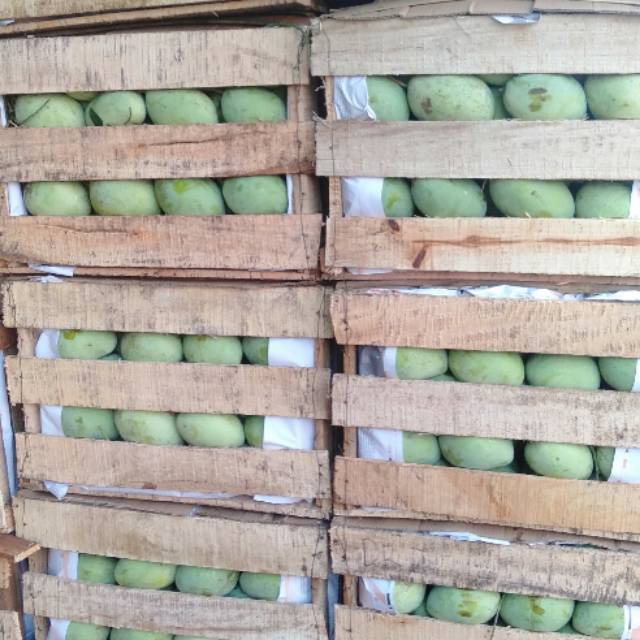 

buah segar