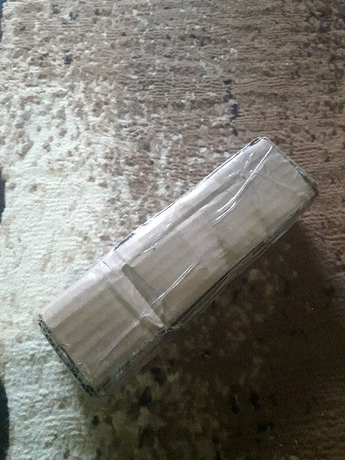 Tanaman Hias Peperomia Raindrof