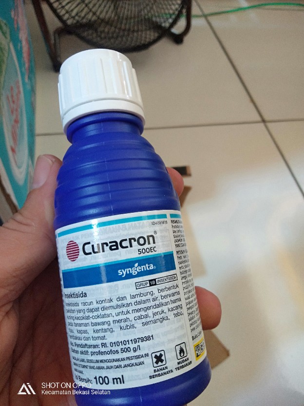 Insektisida Pembasmi Hama Ulat Curacron 500 Ec Original Kemasan 100 Ml