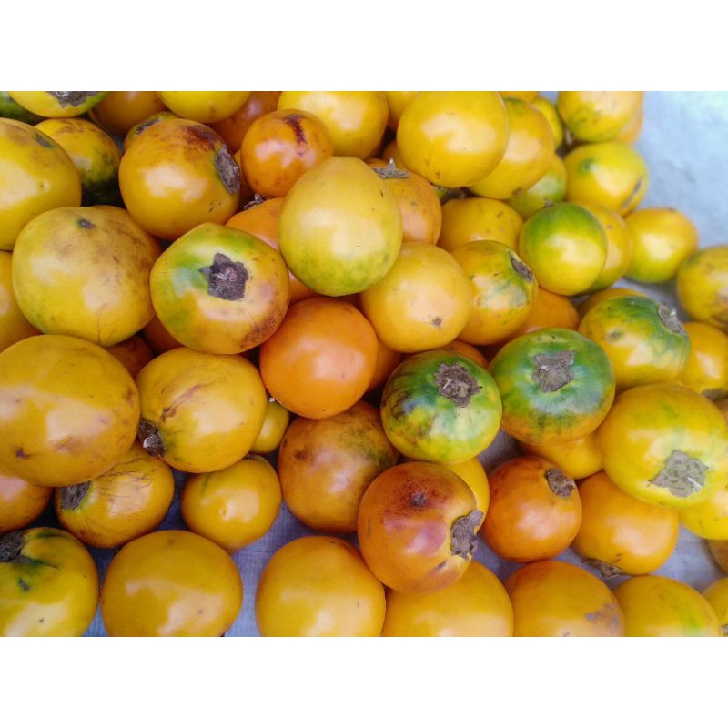 

TERONG ASAM 1Kg