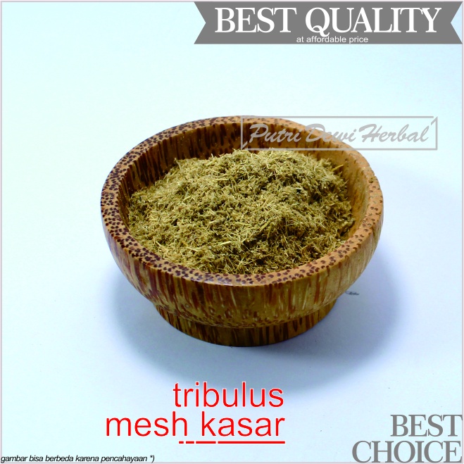 

Tribulus Bubuk 10 Kg Mesh Kasar - Asli Original - Rujakpolo (Tribulus citoides Powder)