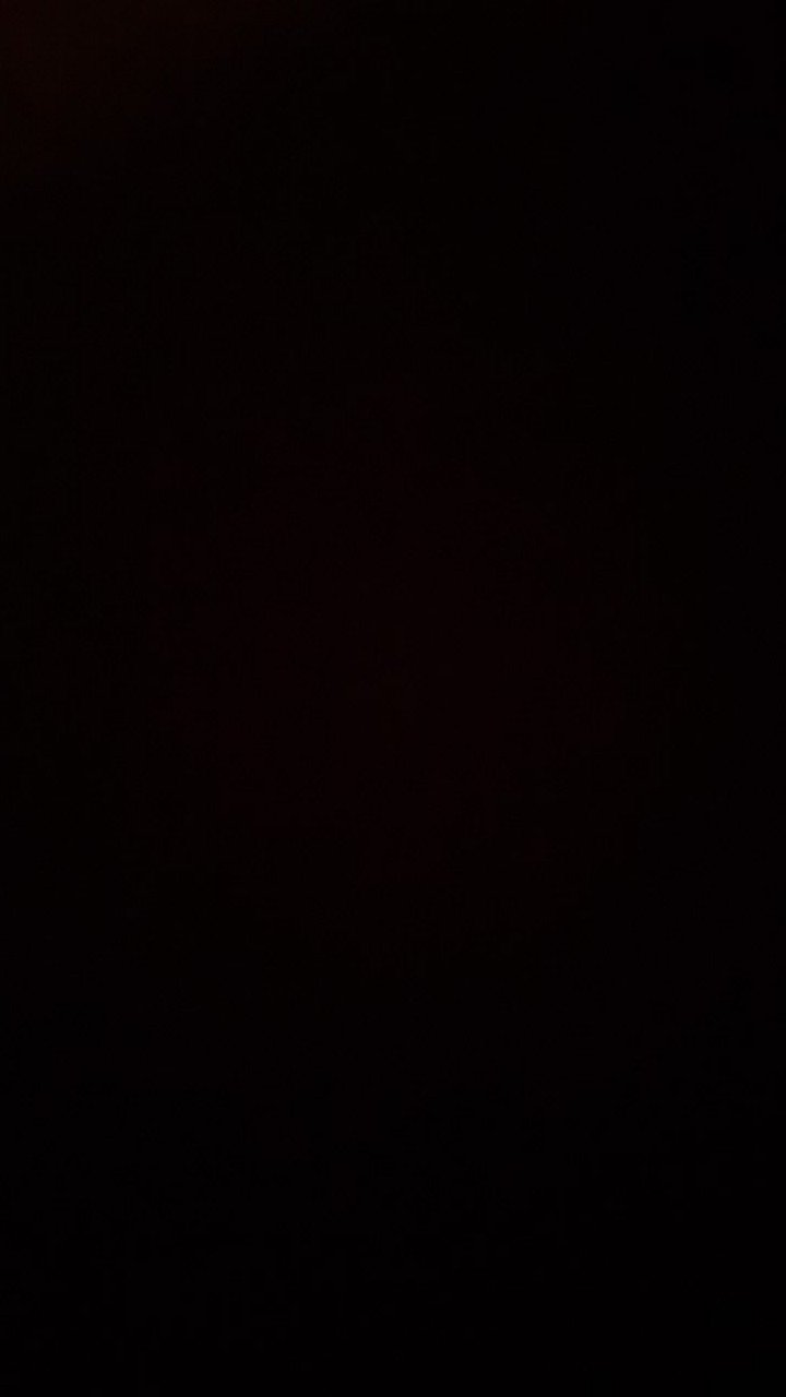 Hit Aerosol 600 Ml Lily Blossom /orange