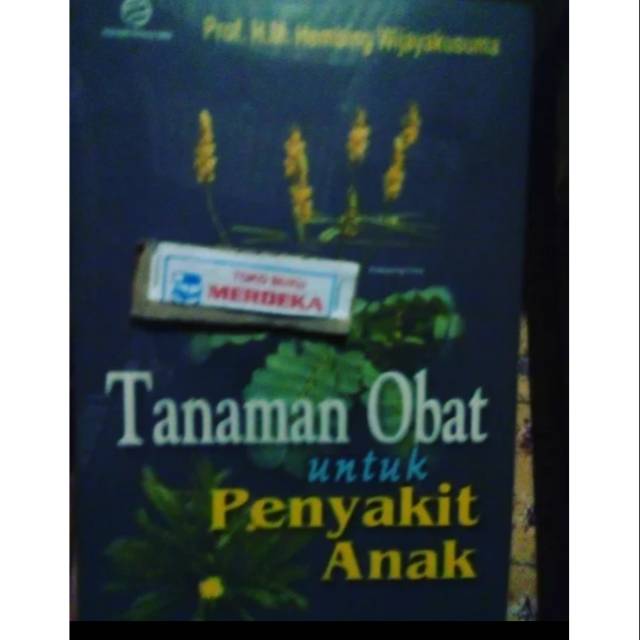 tanaman obat untuk penyakit anak - hembing wijayakusuma