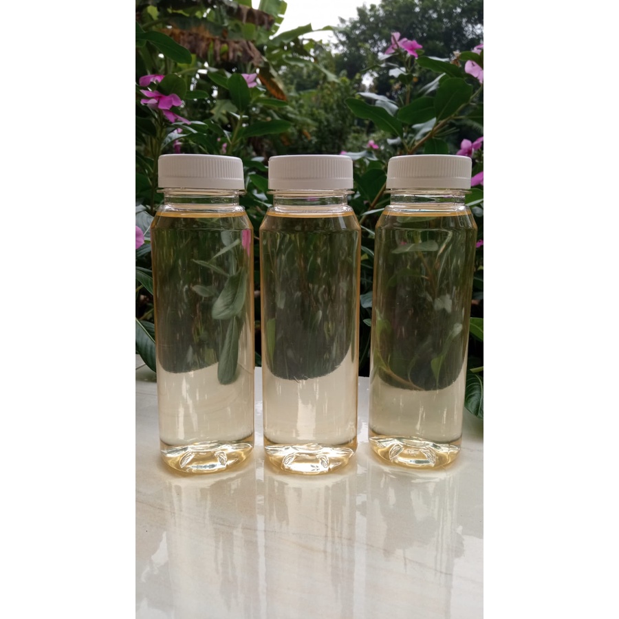 

Minyak Kelapa Klentik Kletik Keletik Murni Asli 250 ml