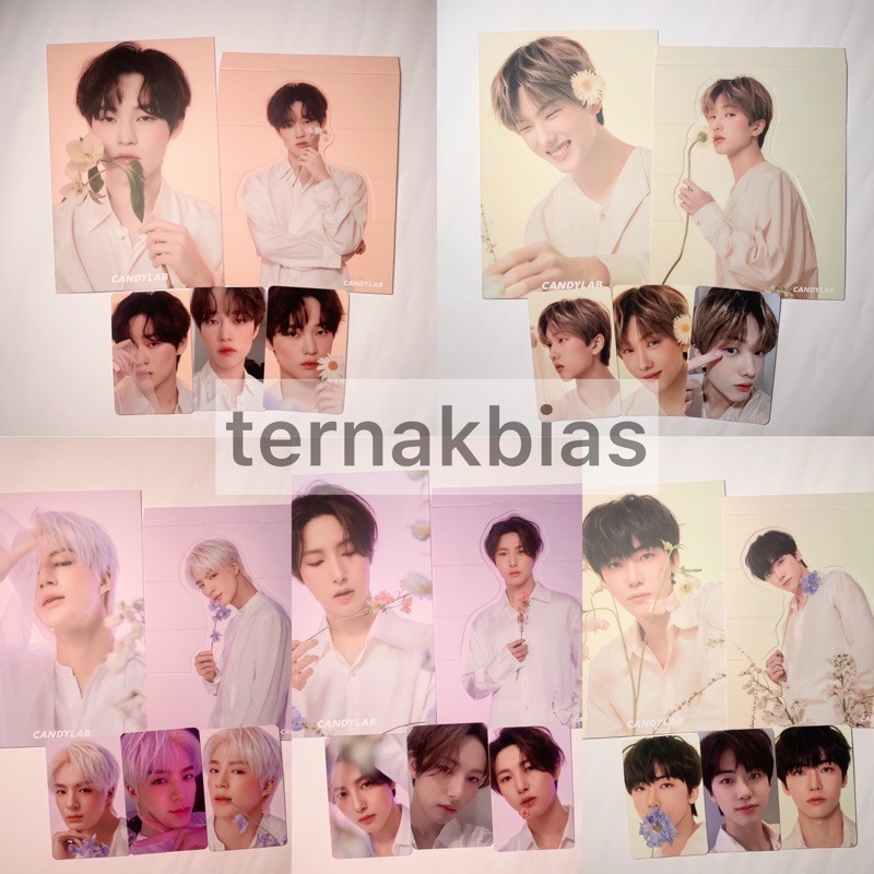 Candylab X NCT Dream Vol.4 Full Bloom Sharing