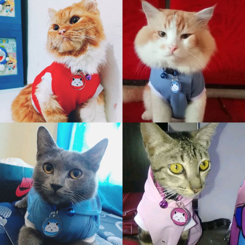 Baju kucing + Kalung lucu (sepaket)