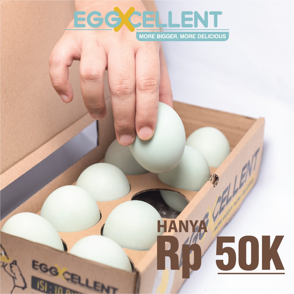 

Telur Asin EGGXCELLENT Bumble Pack