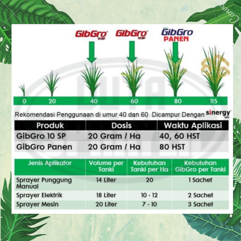 GibGro Panen 20 SP 1 G ZPT Padi 1 gram 1g 1gr Meningkatkan Hasil Panen