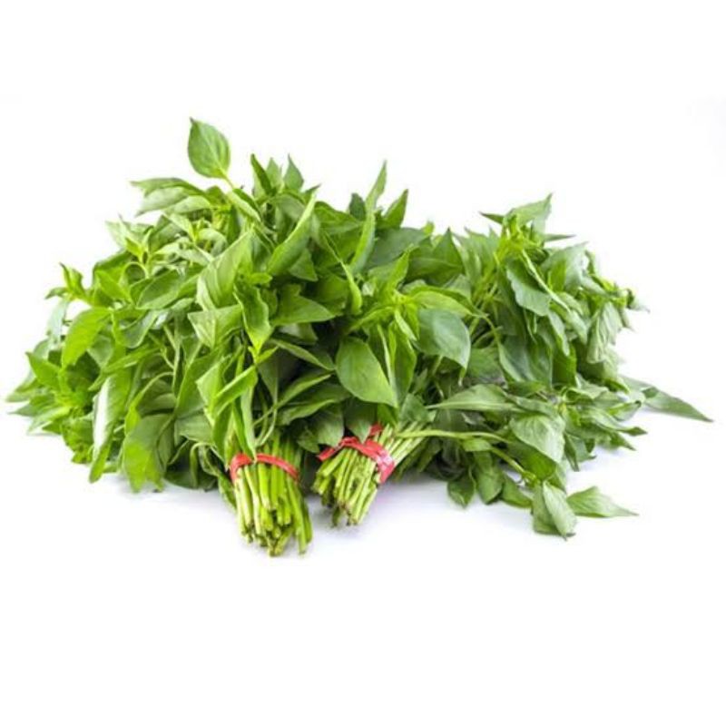 

[SAYUR EMAK] TERMURAH !!! DAUN KEMANGI PER IKAT / SAYUR SEGAR HEMAT