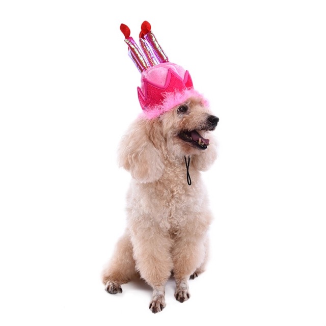 Pet birthday hat atau topi ulang tahun anjing atau kucing