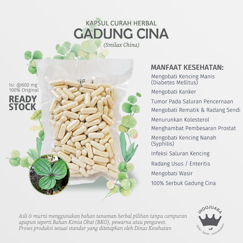GADUNG CINA 200 Kapsul Curah Herbal Kencing Nanah Radang Usus Prostat Bisul Tumor Kanker Diabetes