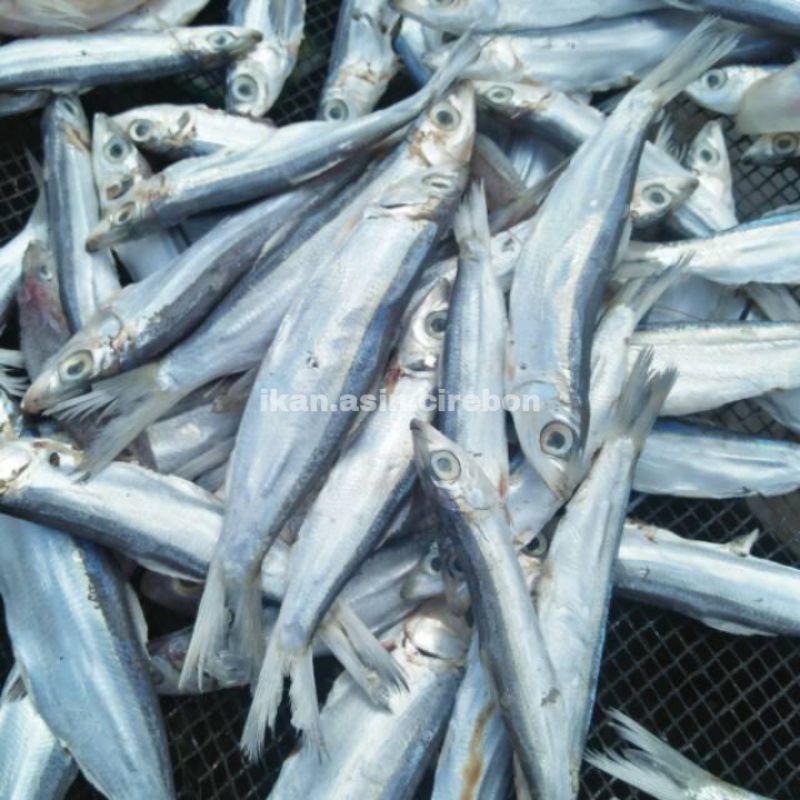 

IKAN ASIN JAPU MURAH 1kg