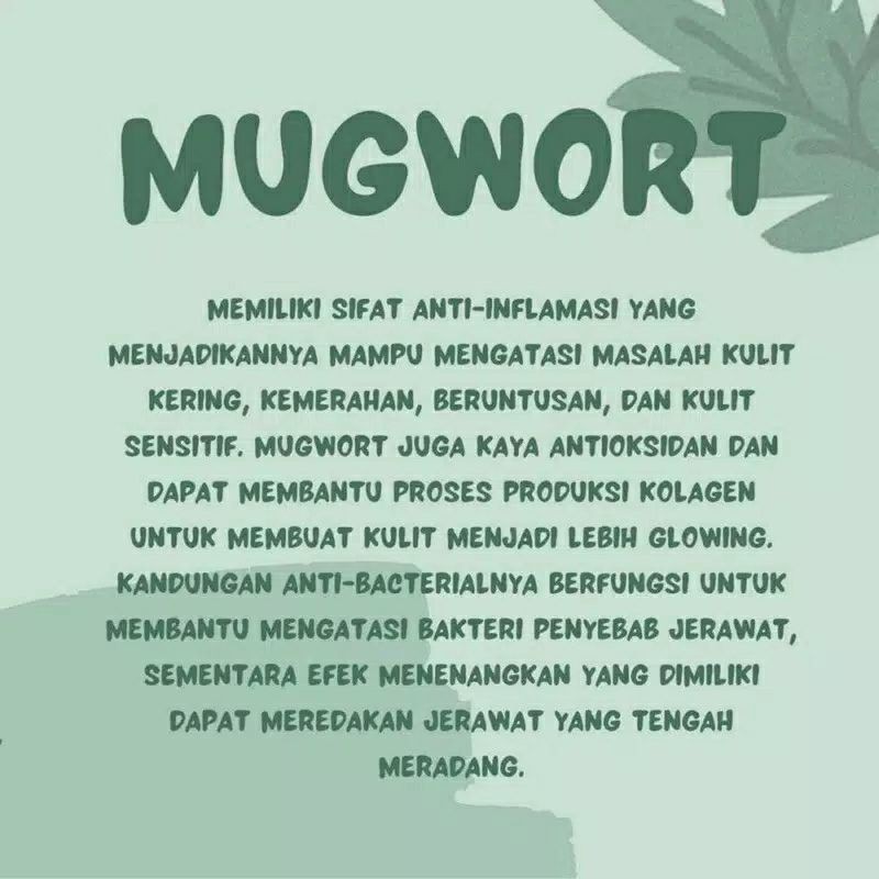 Masker Mugwort Saffron by Allura free spatula