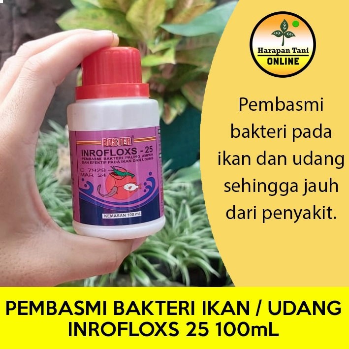 Inrofloxs - 25 100mL | Inrofloxs | Enrofloxacin HCl | Pembasmi Bakteri Ikan dan Udang