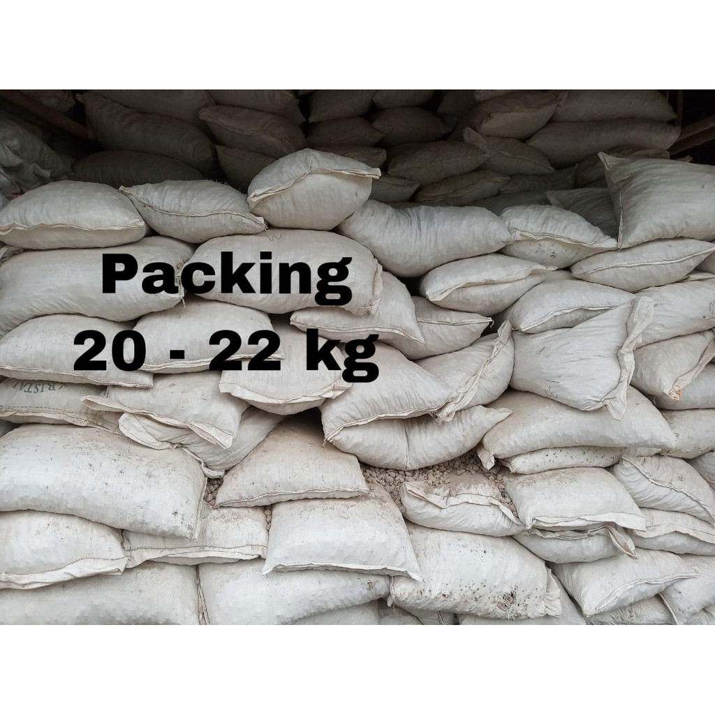 Batu Apung / Pumice Stone / Media Filter / Tanaman / Jeans 1kg 1 kg