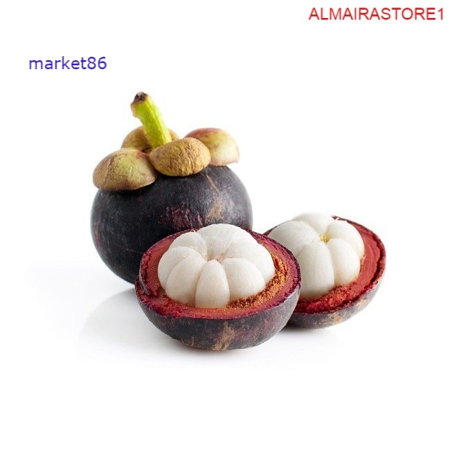 

Buah Manggis 500 Gram - WFB .