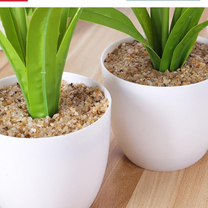 (Top Seller) -95 * Aonez Bunga bongsai Tulip dengan Pot bunga plastik .,.,