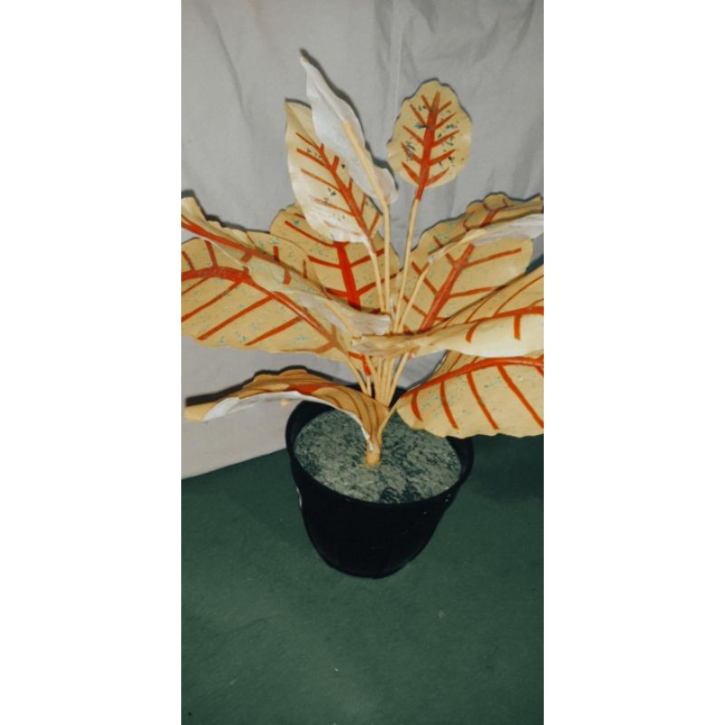 Bunga Artificial Aglonema Plastik Dekorasi Rumah