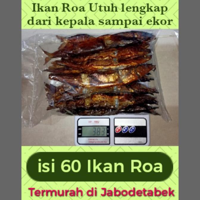 

Bestseller! Ikan Roa Utuh 60 Ekor / Ikan Roa / Roa _