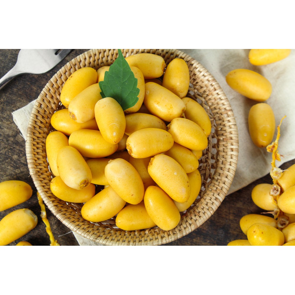 

Kurma muda 1kg Plus Testpack