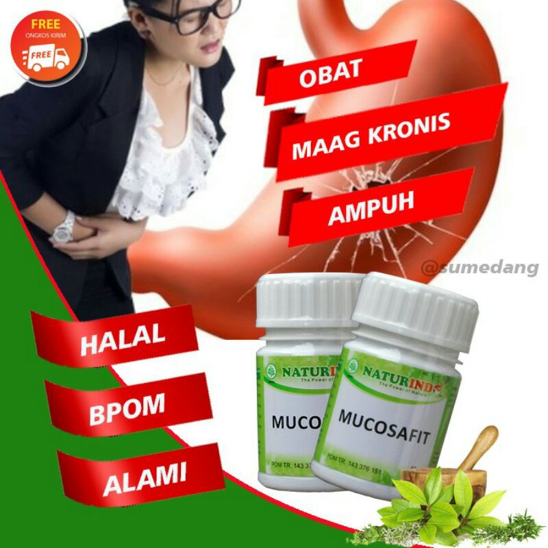 MUCOSAFIT obat herbal asam lambung kronis ampuh mengobati maag maagh gerd anxiety nyeri perut melapisi dinding lambung mual muntah sakit perut kiri kembung begah sendawa dan pencernan isi 40 kapsul-7
