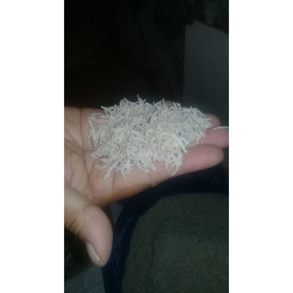 

Teri Nasi Halus 500 gr