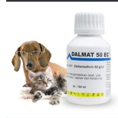 DALMAT obat kutu anjing kucing 50EC Delthamethin membunuh kutu lalat