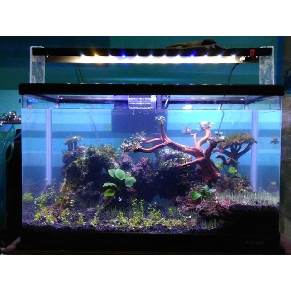 Lampu Aquarium Ukuran 80 - LAMPURABI