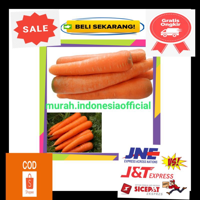 

sayuran segar organik Wortel/wortel lokal segar fresh curah/sayur box online pasar