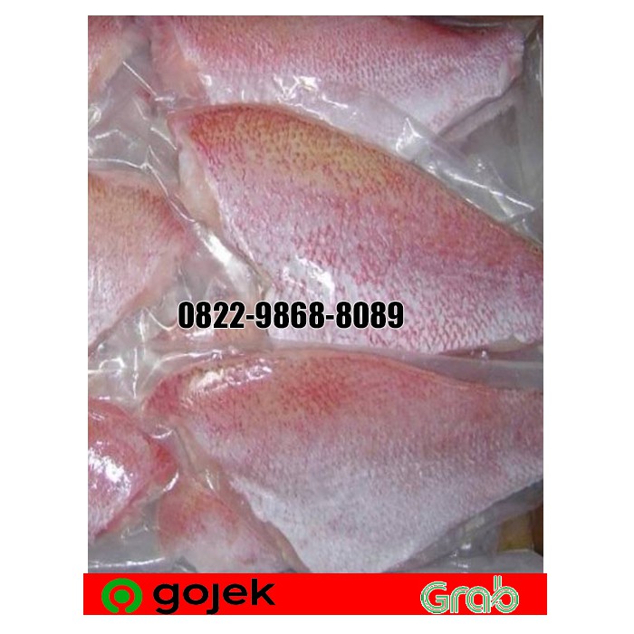 

PROMO FILLET KAKAP MERAH SEGAR/KAKAP MERAH FILLET/RED SNAPPER FISH