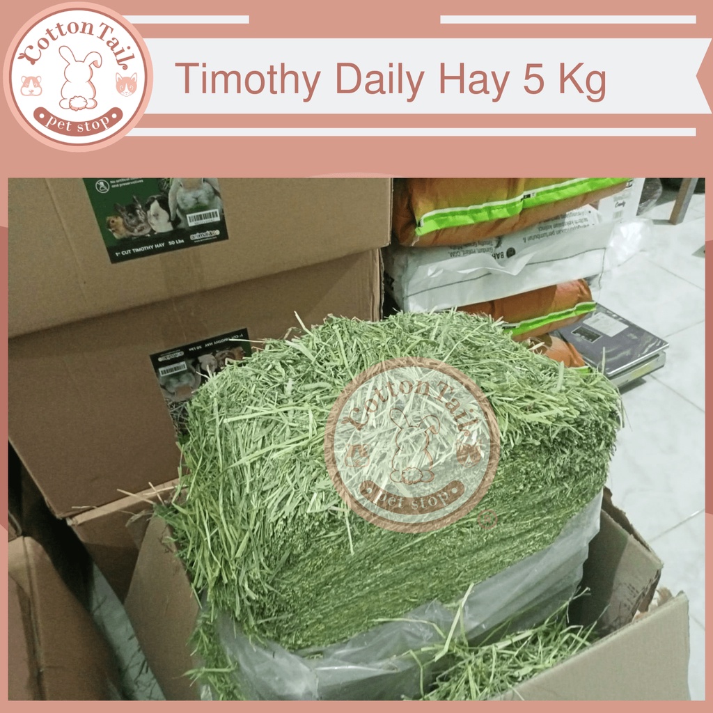 Makanan Kelinci Rumput Daily Timothy Hay Best Choice 100% Organic 5Kg