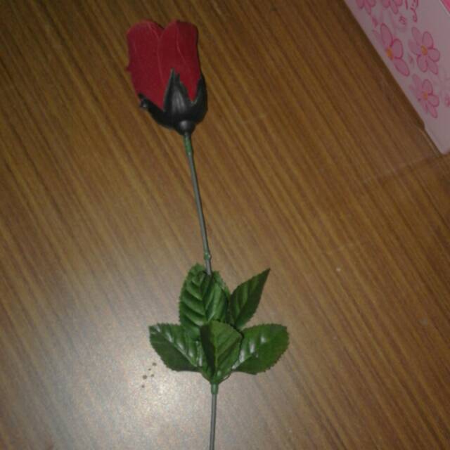 okta_efrien