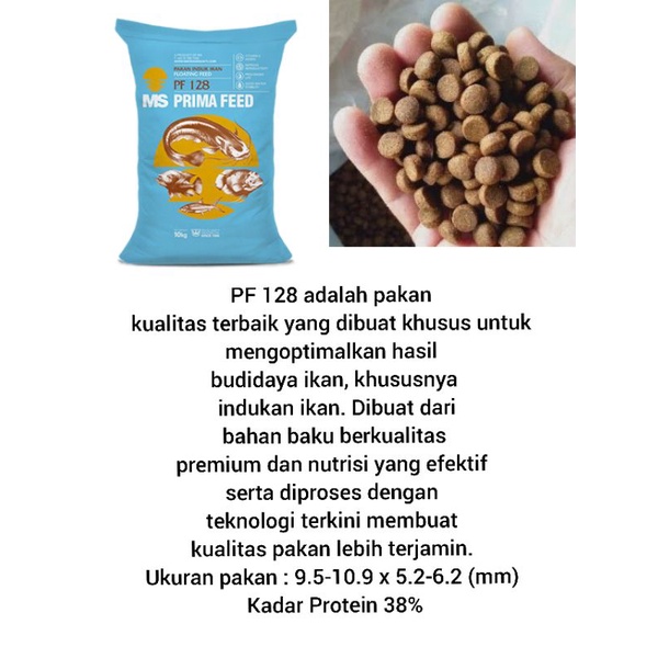 Pf 128 pakan ikan ready 1 kg