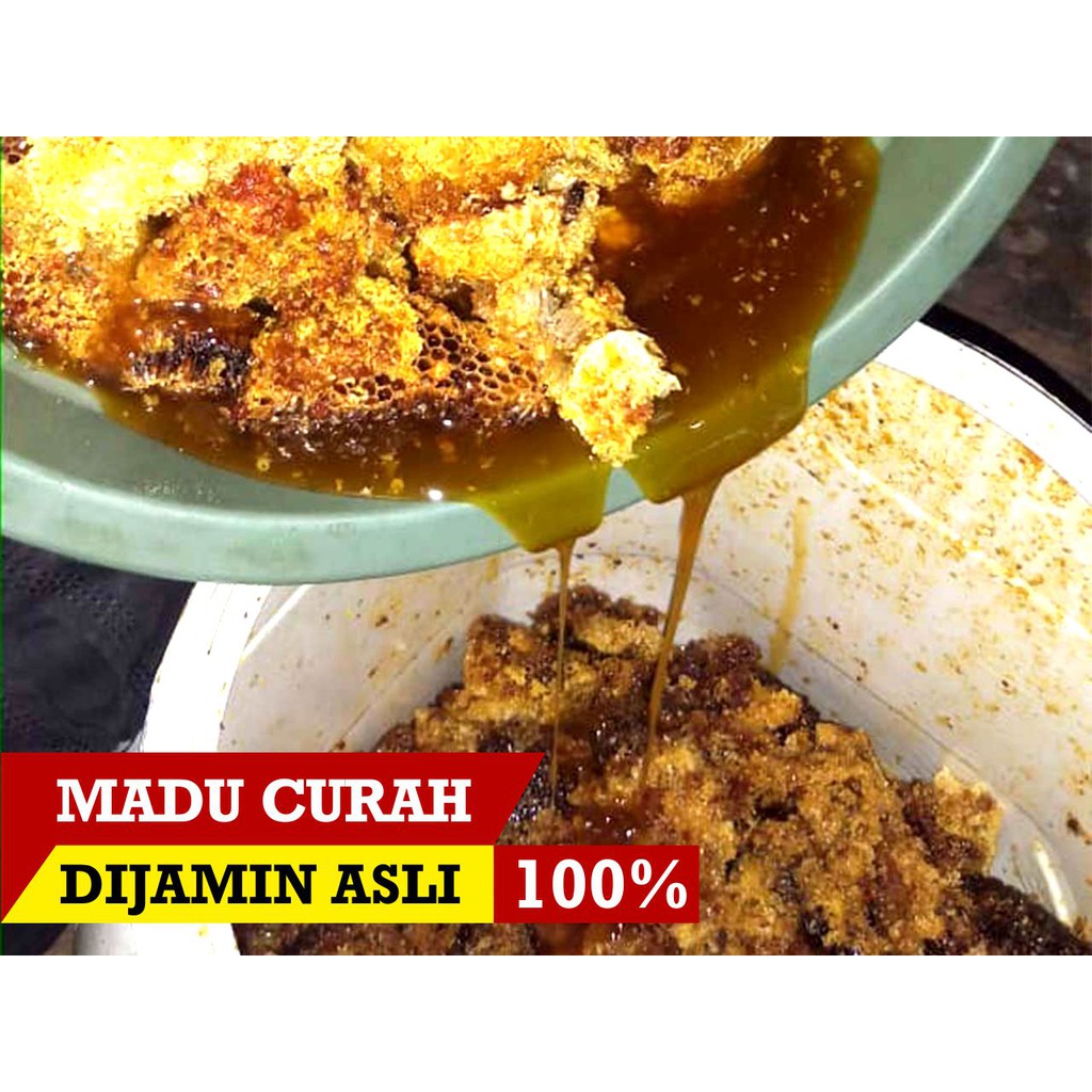 

MADU CURAH MULTIFLORA | 100% ASLI | STANDAR LOKAL | GARANSI ASLI