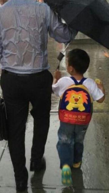 Molto All-in-1 1x Bilas 1600 Ml