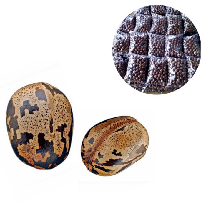 

Biji Karet kualitas super berat 1 kg