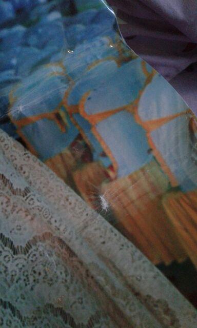 Photoprinesia Cetak Foto Poster Ukuran A3+ (32x48) High Resolution Printing