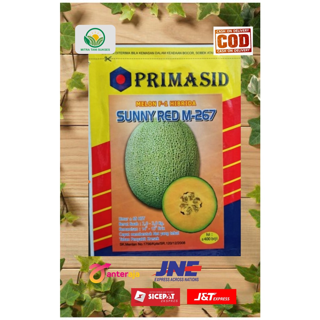 Benih melon sunny red m 267 Berat 20 gr isi 400 biji
