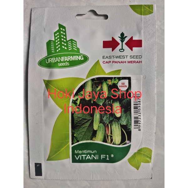 Benih Mentimun Vitani F1 Panah Merah 50 Seed