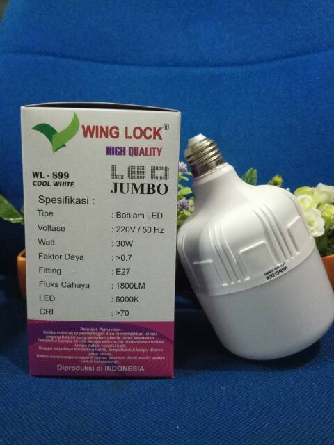 LAMPU LED 30 Watt