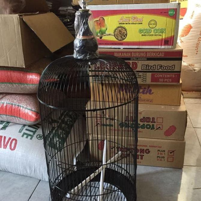 Sangkar Burung Lovebird Merk Navo Hitam Shopee Indonesia