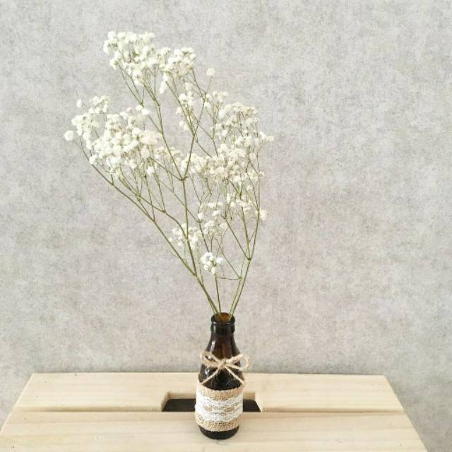 Dried babybreath  1 tangkai / bunga kering babybreath (40 cm)