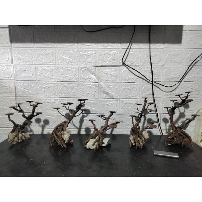 PAKETAN 5 PCS BONSAI AQUASCAPE MINI || HARDSCAPE BONSAI AQUASCAPE